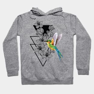 Roses And Hummingbird Hoodie